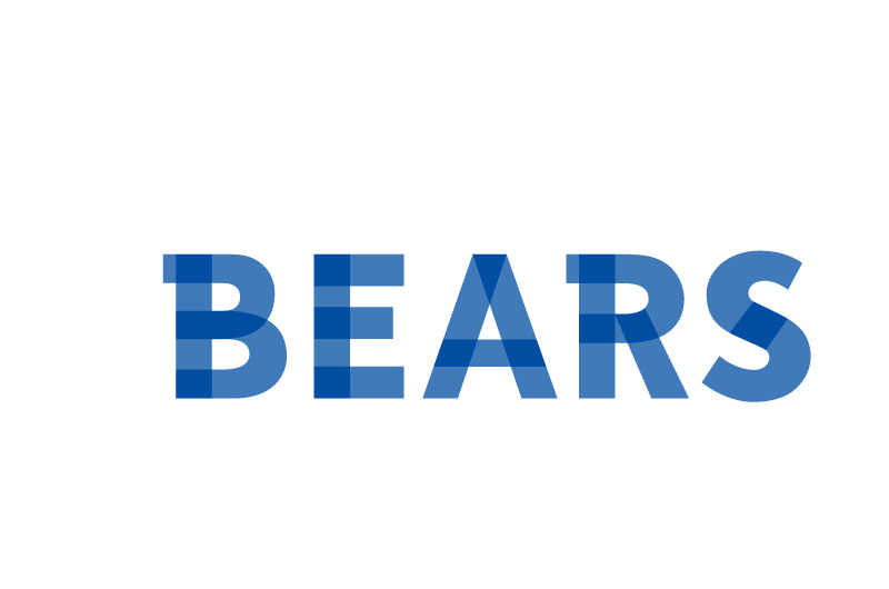 BEARS Corporation
